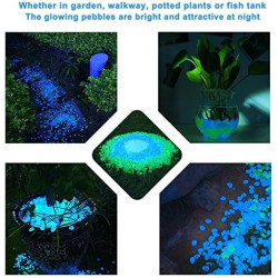 Yulakes – 200 Magicznych Kamyków Świecących w Ciemności