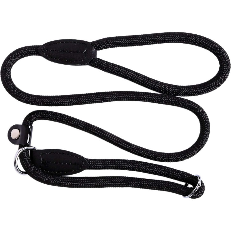 lionto – Smycz typu retriever 2w1 (smycz + obroża), 120 cm, czarna