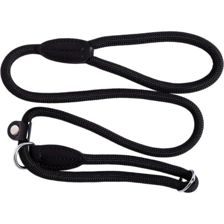 lionto – Smycz typu retriever 2w1 (smycz + obroża), 120 cm, czarna