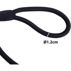lionto – Smycz typu retriever 2w1 (smycz + obroża), 120 cm, czarna